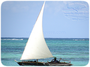 zanzibar beach