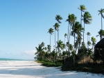 Zanzibar white beach