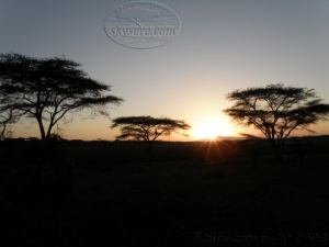 MIGRATION SEASON AT NDUTU AREA