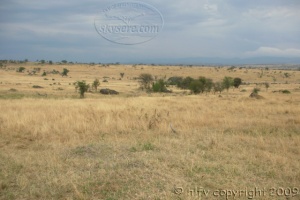 Dry plain