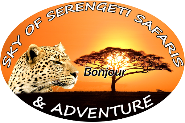 Sky of Serengeti safaris