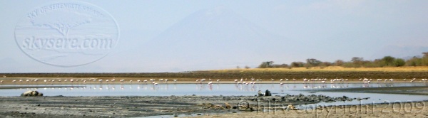 Lake Natron Northern Tanzania