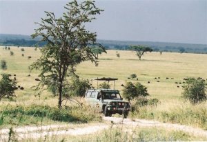 Serengeti