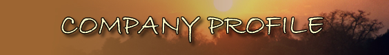 company profile
