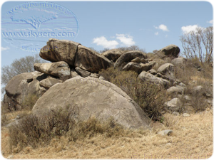 Serengeti Kopje