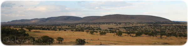 Lobo landscape