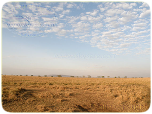 plaine du Serengeti