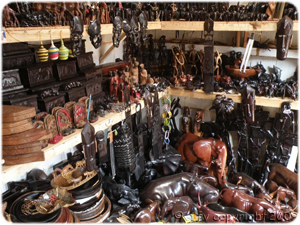 Arusha store