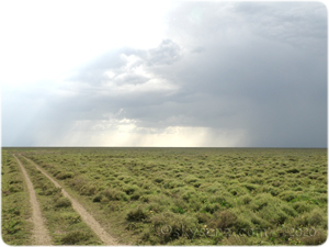South Serengeti