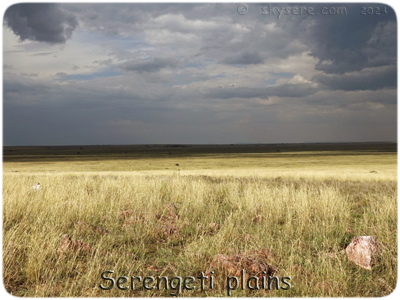 les plaines du Serengeti