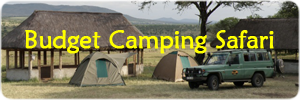 Camping Public Lobo