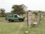 Safaris Tanzania