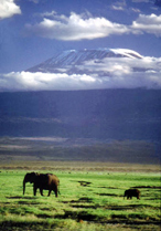 Kilimanjaro