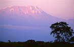 Kilimanjaro