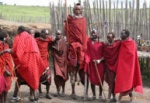 Maasai dance