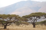 Tanzania landscape