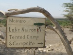 Moivaro Lake Natron Tented Camp & Campsite
