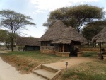 Tarangire safari lodge
