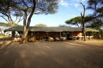 safaris Africa