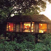 Manyara Tree lodge