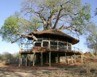 Tarangire Treetops