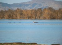 Lake Manyara