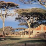 Ndutu Safari Lodge