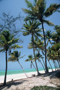 plage de Zanzibar