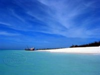 Zanzibar beach