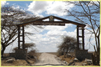 Serengeti gate
