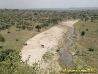 Tarangire river from Safari Lodge