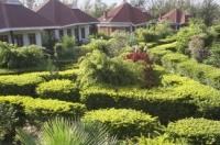 Bougainvillea Safari Lodge