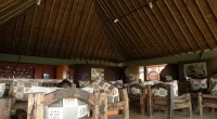 Tarangire Safari Lodge