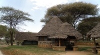 Tarangire Safari Lodge