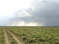 South Serengeti