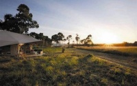 Serengeti Sayari south camp