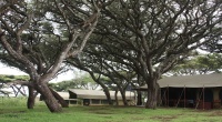 Lemala Luxury Camp Ngorongoro