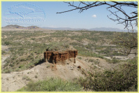 Olduvai