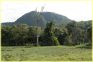 Arusha National Park