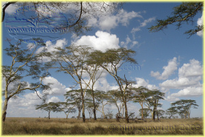 Serengeti National Park