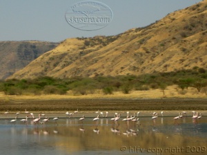 paysage du lac Natron