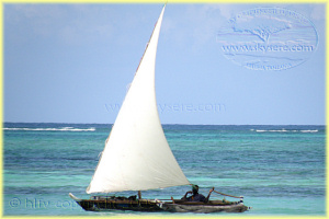 zanzibar beach