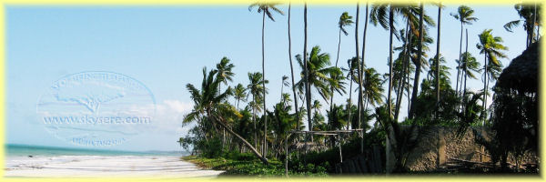 Zanzibar beach