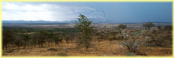 orage sur le Serengeti