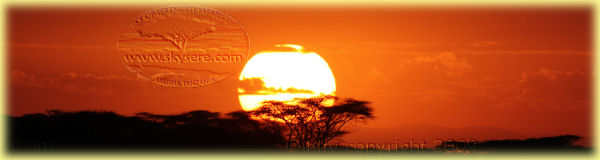 Ndutu sunrise